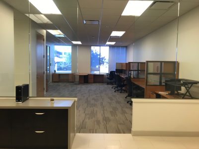 Workday product support